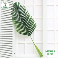 Кокосовой листовой труба темно -зеленый