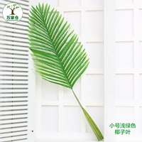 Кокосовое листовое труба светло -зеленый