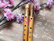 Phần tự nhiên clarinet tre Xiao ngắn Xiao Gu Pu Xiao bắt đầu học nhạc cụ đạo cụ nhảy cổ điển 6 sáu clarinet - Nhạc cụ dân tộc