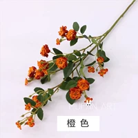 【Orange】 aini-rose