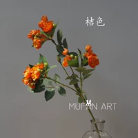 【Orange】 Rose Flow
