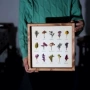 Nhật Bản nhập khẩu mẫu vật thực vật thủ công sơn trang trí hoa mẫu vật trang trí tranh tường mẫu vật hoa tường sơn trang trí - Trang trí nội thất shop bán đồ dcor phòng ngủ ở Hà Nội