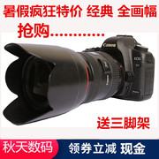Canon 5D chuyên nghiệp SLR second-hand full-frame set kỹ thuật số HD travel bất khả chiến bại thỏ 5D2 6D 6d2 5d3