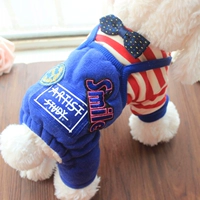 Королевское брюки с бабочкой для бабочки Королевские синие брюки