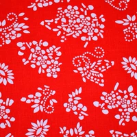 Красная пьяная бабочка имеет длину более 0,5 метра и не приспособлена