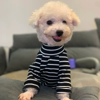 Черно -белое полосатое основание