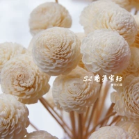 Tongcao Flower Flower Flower Aromathereed Эфирное масло Ходить бейсбол