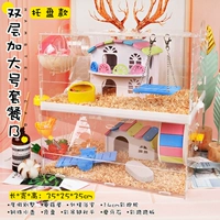 Двойной слой увеличил сетевую еду b [чашка]