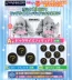 Tháng 2 Bandai chính hãng Snow Hatsune 2019 Trứng xoắn Hatsune Miku Handmade Cao su Trang trí Huy hiệu - Capsule Đồ chơi / Búp bê / BJD / Đồ chơi binh sĩ đồ chơi mô hình Capsule Đồ chơi / Búp bê / BJD / Đồ chơi binh sĩ