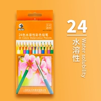 24 -color Marli Water -soluble Color Hed (CW7024)