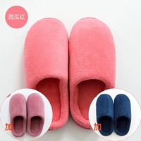 Арбуз красный+винный красный+тибетский зеленый