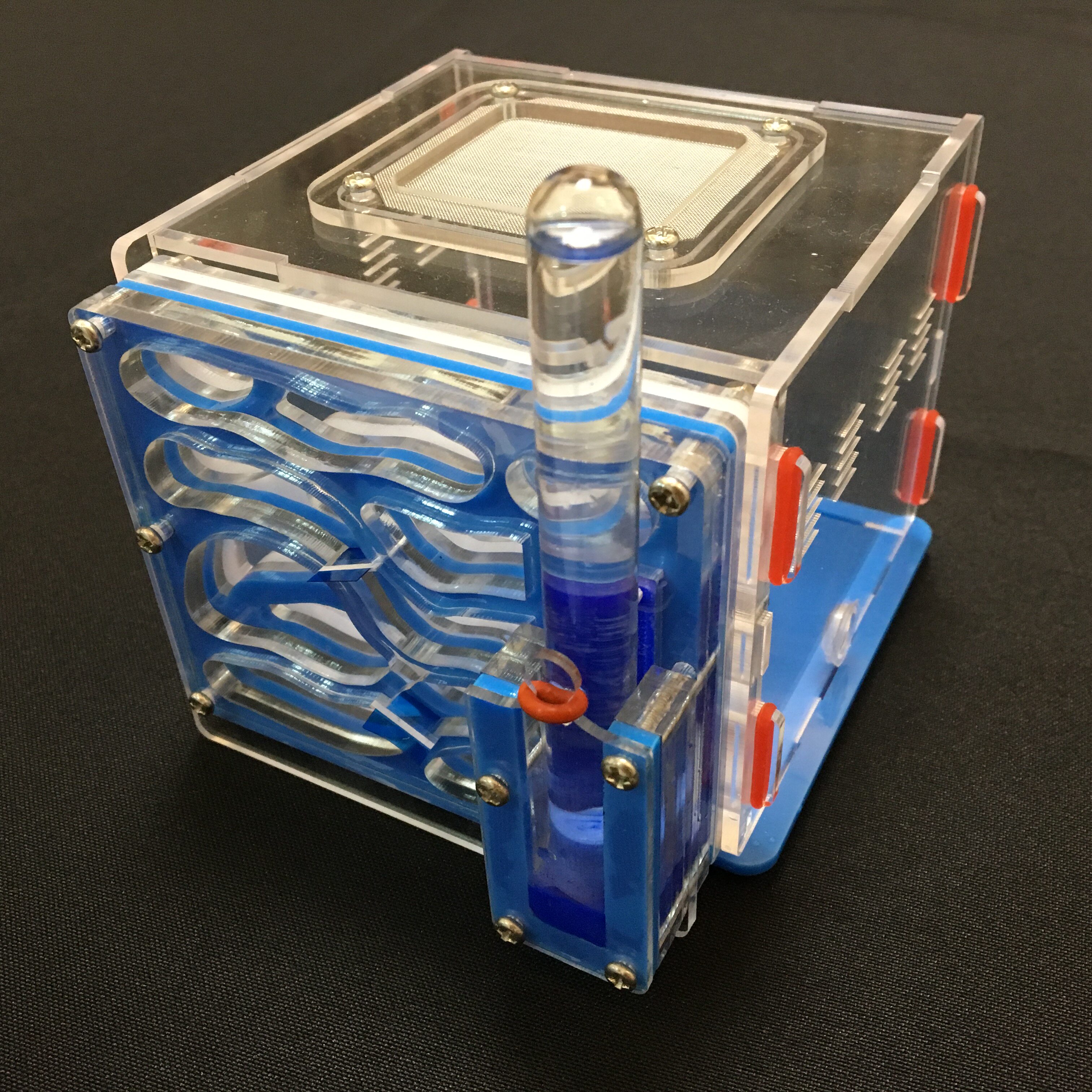 葡萄/亚克力蚁巢/宠物蚂蚁/蚂蚁巢/替代蚂蚁工坊/别墅/迷你粮仓