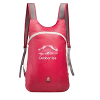 B03001 Rose Red