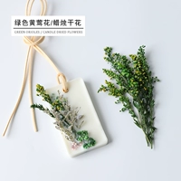 Зеленая фоторамка, цветочная аромотерапия, свеча, летучая рыба, DIY, 2G, 112 уп.