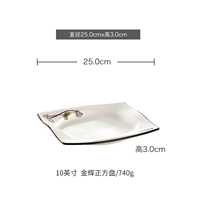 10 -INCH QINGHE JINHUI Положительная тарелка