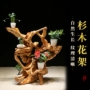 Bộ sưu tập Root Art Fir Root khắc Nghệ thuật Hoa đứng Đăng nhập nhiều tầng Sàn bonsai Trang trí nhà - Các món ăn khao khát gốc bàn ghế bằng gốc cây