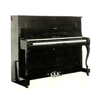 Đàn piano nhập khẩu Nhật Bản APOLLO Apollo RU30 miễn phí điều chỉnh tại nhà Bảo hành toàn quốc chordana play