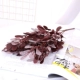 Jujube Leaf Red