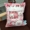 Lắc trong Bunny Dinosaur Doll Plush Toy Snack Bag Gối Net Red Girl Heart Bag Pudding Đệm - Đồ chơi mềm