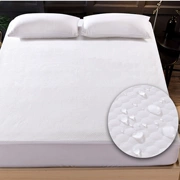 Giường cotton không thấm nước 笠 螨 螨 透气 thoáng khí Simmons nệm bảo vệ 1,5m1,8 m trải giường đặt giường tùy chỉnh - Trang bị Covers