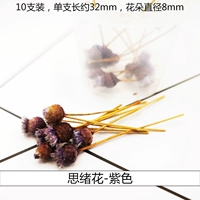 Трехмерные сушеные цветы думали цветы фиолетовые (10 цветов)