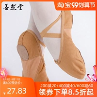 Танцевальные туфли для живота женщина для взрослых тренировочная балет -ботин