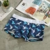 2 mảnh phim hoạt hình đồ lót nam thủy triều thể thao cotton boxer thanh niên cá tính cây dừa bốn góc đồ lót nam quần lót nam cho người cao tuổi Nam giới