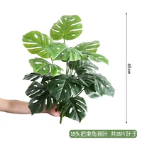 18 головных черепах назад