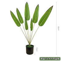 Роза красный с горшками с 7 головами водяного бамбука таро -горшка