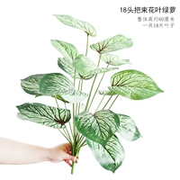 Серый 18 гастролированный цветочный лист зеленый укроп