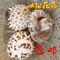 Booliyang Mushrooms Dry Cargo Shiitake грибы Henan специализированные грибы грибы съедобные бактерии 500 грамм бесплатной доставки