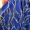Cổ điển retro in chuỗi voan Bingtan vải sợi dày phong cách châu Âu vải váy dơi phù hợp với Rouran - Vải vải tự làm
