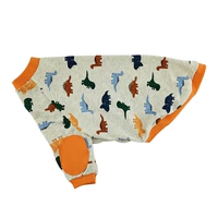 Мультяшная цветная карта, динозавр, 235 грамм