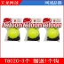 Authentic Dragon Tennis T802C Dragon Knight T804C có dây với dây chuyền luyện tập tennis Quần vợt