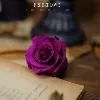 Товары от 菡萏子裙