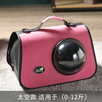 Космические сумки-сакура порошок