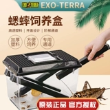 Канадская экзоси Xijin 饲 ящик для разведения анти -эскапа 蟋蟀 Удобная коробка для разведения ящиков для питательных ящиков