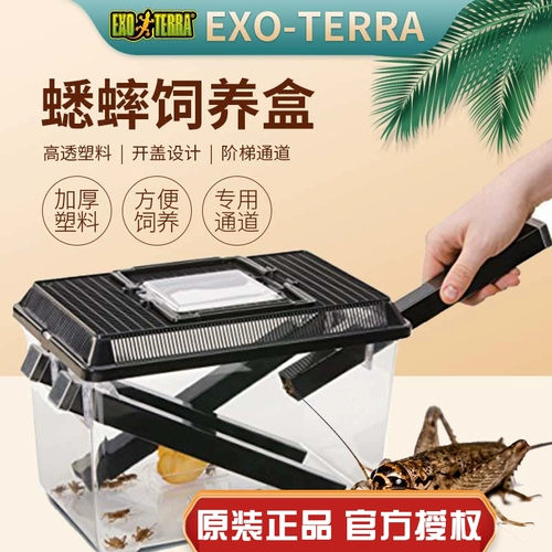 Канадская экзоси Xijin 饲 ящик для разведения анти -эскапа 蟋蟀 Удобная коробка для разведения ящиков для питательных ящиков
