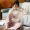 Bộ đồ ngủ nữ mùa xuân và mùa thu cotton dài tay mỏng phiên bản Hàn Quốc rộng rãi dễ thương cỡ lớn mùa đông có thể mặc bên ngoài bộ đồ phục vụ