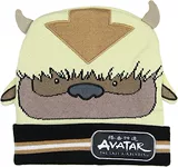 Американский аватар Последний чиновник авиабендера импортировал подлинную шляпу