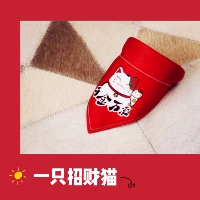 Кошка богатства