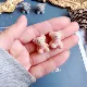 Пара оранжевого кофейного цвета, имплантированных медведей