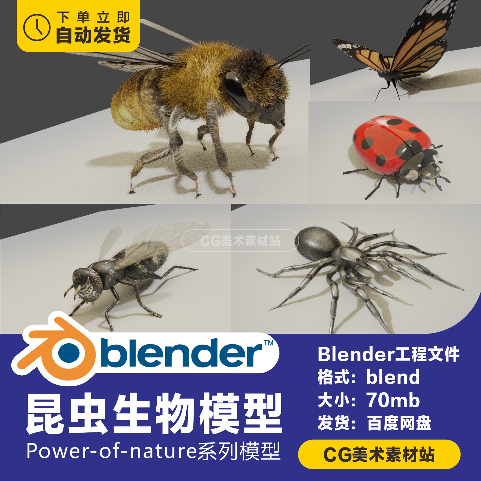 Blender生物昆虫蜜蜂蝴蝶苍蝇蜘蛛瓢虫3D模型-cg男孩