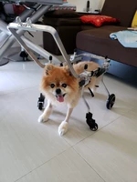 Собачья коляска для собак четыре колеса домашних животных Парализованное собачья машина, передняя нога с инвалидом
