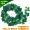 Mô phỏng cây leo trang trí mây giả hoa nho ống hoa nho cây xanh trần cây lá nhựa nhựa lá xanh lá - Hoa nhân tạo / Cây / Trái cây