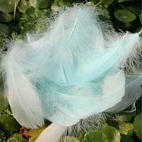 100 светло -голубой в апельсине