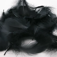 100 корней в черном