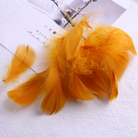 Около 100 крыш на земле желтый