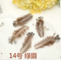 № 14 зеленая бровь