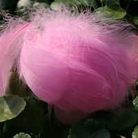 100 глубины в коричневой средней муке